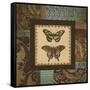 Butterfly Garden I-Kimberly Poloson-Framed Stretched Canvas