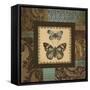 Butterfly Garden II-Kimberly Poloson-Framed Stretched Canvas
