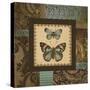 Butterfly Garden II-Kimberly Poloson-Stretched Canvas
