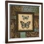 Butterfly Garden II-Kimberly Poloson-Framed Art Print