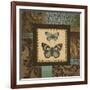 Butterfly Garden II-Kimberly Poloson-Framed Art Print