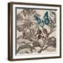 Butterfly Gardens-Bella Dos Santos-Framed Art Print