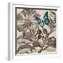 Butterfly Gardens-Bella Dos Santos-Framed Art Print