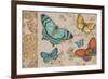 Butterfly Gathering-Chad Barrett-Framed Art Print