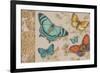 Butterfly Gathering-Chad Barrett-Framed Art Print