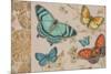 Butterfly Gathering-Chad Barrett-Mounted Art Print