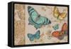 Butterfly Gathering-Chad Barrett-Framed Stretched Canvas
