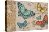Butterfly Gathering-Chad Barrett-Stretched Canvas