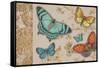 Butterfly Gathering-Chad Barrett-Framed Stretched Canvas