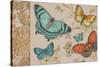 Butterfly Gathering-Chad Barrett-Stretched Canvas