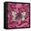 Butterfly Glory-Bella Dos Santos-Framed Stretched Canvas