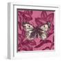 Butterfly Glory-Bella Dos Santos-Framed Art Print