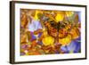 Butterfly Graphium Rydleyanus-Darrell Gulin-Framed Photographic Print