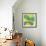 Butterfly Groove 4-Jan Weiss-Framed Art Print displayed on a wall