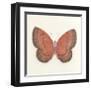 Butterfly I-Sophie Golaz-Framed Premium Giclee Print