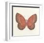 Butterfly I-Sophie Golaz-Framed Premium Giclee Print