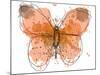 Butterfly I-Irena Orlov-Mounted Art Print