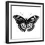 Butterfly I-Clara Wells-Framed Giclee Print