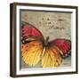 Butterfly I-Kimberly Poloson-Framed Art Print