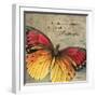 Butterfly I-Kimberly Poloson-Framed Art Print