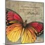 Butterfly I-Kimberly Poloson-Mounted Art Print