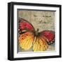 Butterfly I-Kimberly Poloson-Framed Art Print