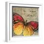 Butterfly I-Kimberly Poloson-Framed Art Print