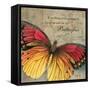 Butterfly I-Kimberly Poloson-Framed Stretched Canvas