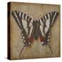 Butterfly I-Patricia Pinto-Stretched Canvas