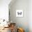 Butterfly II-Sophie Golaz-Premium Giclee Print displayed on a wall