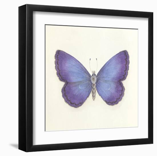 Butterfly II-Sophie Golaz-Framed Premium Giclee Print