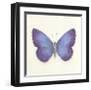 Butterfly II-Sophie Golaz-Framed Premium Giclee Print