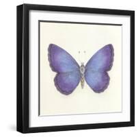 Butterfly II-Sophie Golaz-Framed Premium Giclee Print