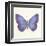 Butterfly II-Sophie Golaz-Framed Premium Giclee Print