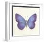 Butterfly II-Sophie Golaz-Framed Premium Giclee Print