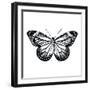 Butterfly II-Clara Wells-Framed Giclee Print