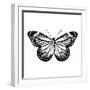 Butterfly II-Clara Wells-Framed Giclee Print