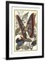 Butterfly II-Vision Studio-Framed Art Print