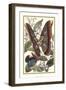 Butterfly II-Vision Studio-Framed Art Print