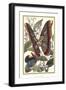 Butterfly II-Vision Studio-Framed Art Print