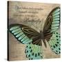 Butterfly II-Kimberly Poloson-Stretched Canvas