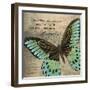 Butterfly II-Kimberly Poloson-Framed Art Print