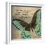 Butterfly II-Kimberly Poloson-Framed Art Print