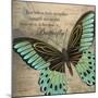 Butterfly II-Kimberly Poloson-Mounted Art Print