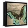 Butterfly II-Kimberly Poloson-Framed Stretched Canvas