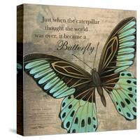 Butterfly II-Kimberly Poloson-Stretched Canvas