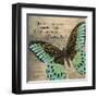 Butterfly II-Kimberly Poloson-Framed Art Print