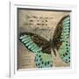 Butterfly II-Kimberly Poloson-Framed Art Print