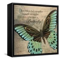 Butterfly II-Kimberly Poloson-Framed Stretched Canvas
