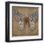 Butterfly II-Patricia Pinto-Framed Art Print